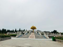 -神州牡丹园