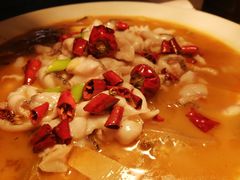 -马家斑.鲜鱼火锅(松湖万科店)