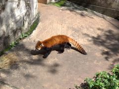 -昆明动物园