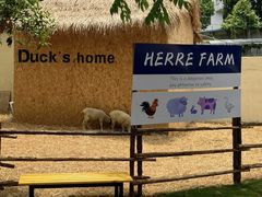 -HERRE·FARM 赫尔露营农场·团建聚会包场