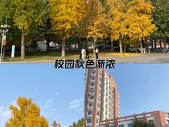 -中国政法大学(昌平校区)