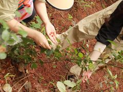 -铁山坪森林公园