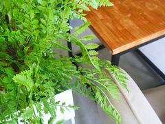 -塔拉苏咖啡(中信丹阳花园店)