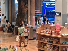 -杭州开元森泊度假乐园