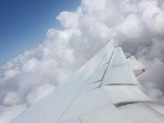 -新加坡航空公司(ION)