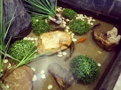 -川锅一号火锅(铜山万达店)