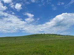 -塞罕坝国家级自然保护区