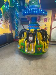 -卡通尼·Safari非洲探索乐园·生日会(金桥国际商业广场店)