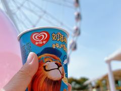 -顾村公园