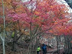 -崂山巨峰游览区