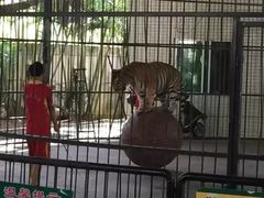 -广东茂名森林公园