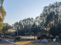 -济南国际园博园