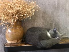 -MIKAKU(万达广场上海宝山店)