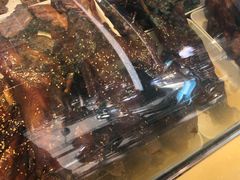-紫燕百味鸡(枫林店)