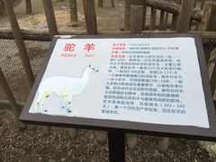 -昆山城市生态森林公园
