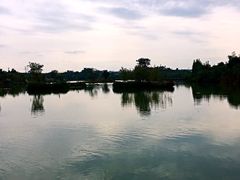 -白鹭湾湿地公园