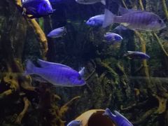 -华夏文旅海洋公园