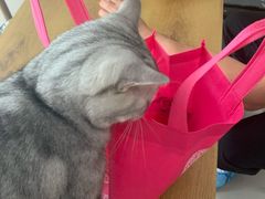 -平行世界·猫咖(首经贸店)