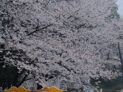 -杭州少年儿童公园