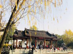 -武汉园博园(武汉自然博物馆)