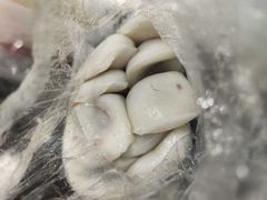 -师任堂韩式食品(总店)