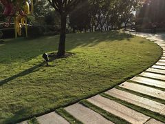 -重庆市江北嘴中央商务区中央公园