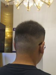 -YESIDO椰岛造型