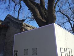 -北京国子监胡同