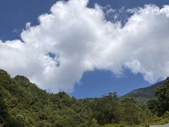 -陕西省红河谷森林公园