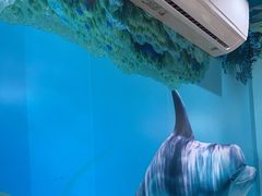 -小海豚•老字号海鲜餐厅(天涯店)