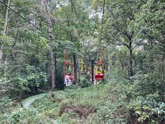 -WeLope紫金山探险公园
