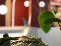 -IL Forno 意坊·意大利餐厅(温州万象城店)