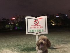 -泰洋动物医院·神经专科·磁共振·CT(天河公园总院)