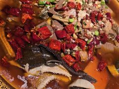 -阿英煲(凉城路店)