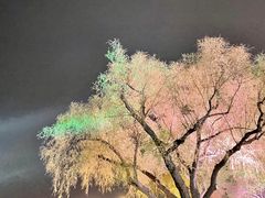 -人民防洪胜利纪念塔