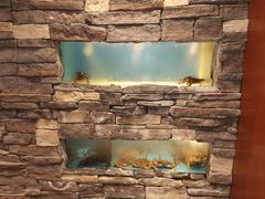 -麒麟海鲜酒家(Richmond)