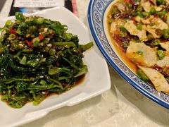 -新蜀会四川豆花(五羊店)