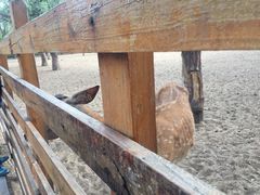 -赛汗塔拉风情园