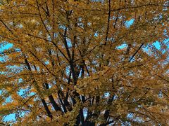 -辽东学院(南校区)