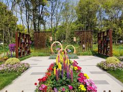 -上海共青森林公园