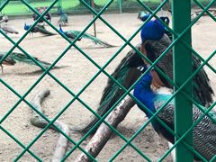 -苏州上方山国家森林公园