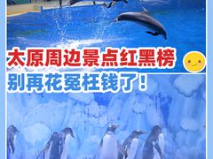 -石家庄极地海洋世界