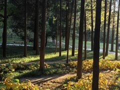-元大都城垣遗址公园