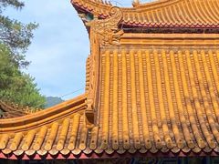 -炎帝陵景区