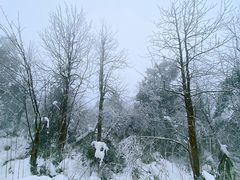 -瓦屋山景区