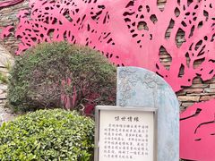 -西安曲江寒窑遗址公园