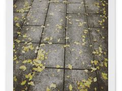 -百林公园-两江幸福广场