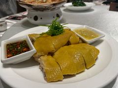 -炆艺乳鸽·煲仔饭大排档(望京来广营店)