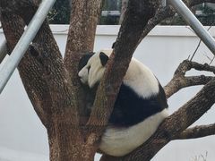 -无锡动物园·太湖欢乐园