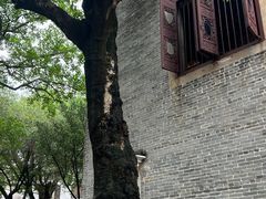 -碧江金楼